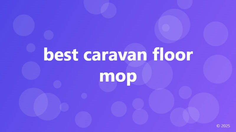 best caravan floor mop