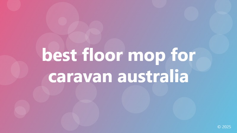 best floor mop for caravan australia